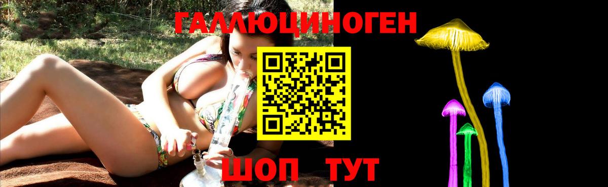 Галлюциногенные грибы Psilocybe Ростов Великий