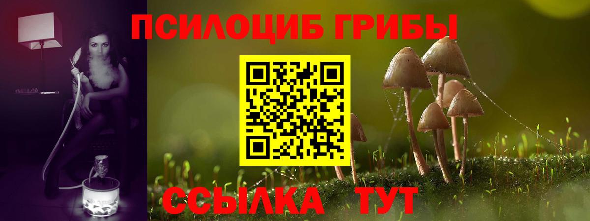 Псилоцибиновые грибы Cubensis  купить закладку  Ростов Великий  Галлюциногенные грибы Psilocybe  Вход с VPN 
